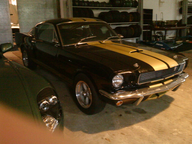 Stang1