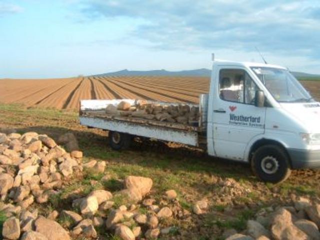 collecting the rocks