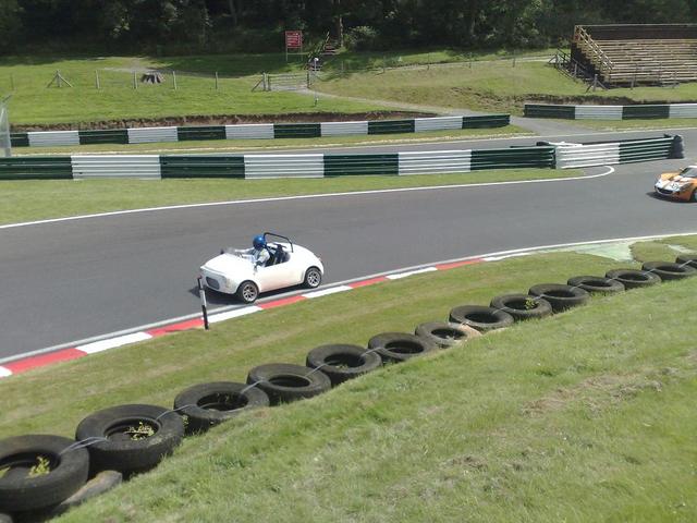 CADWELL 08