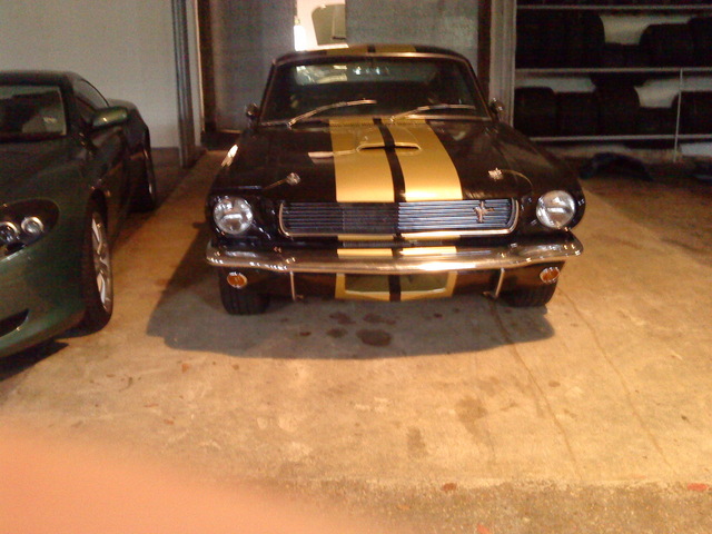 Stang2