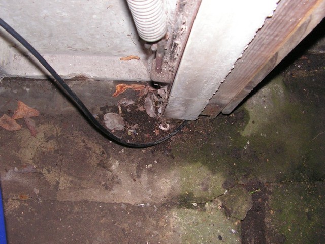 Door end damp 1