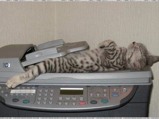 CAT Scan