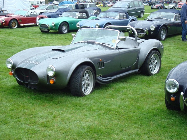 cobra