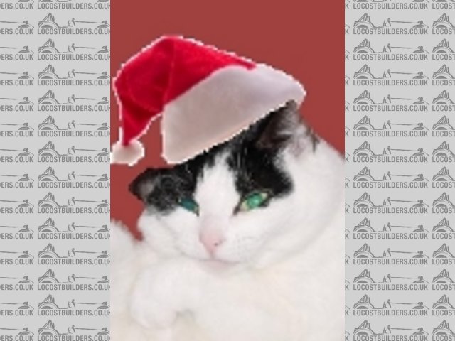 Santa hat avatar