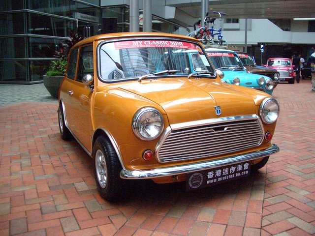 Bracken Mini