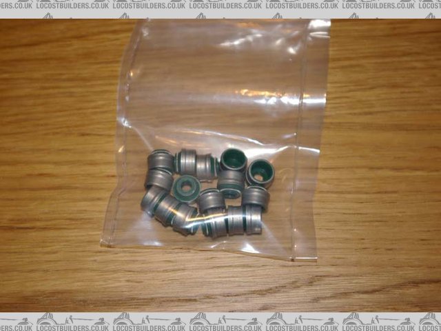 1.6 Ecotec Valve Stem Seals