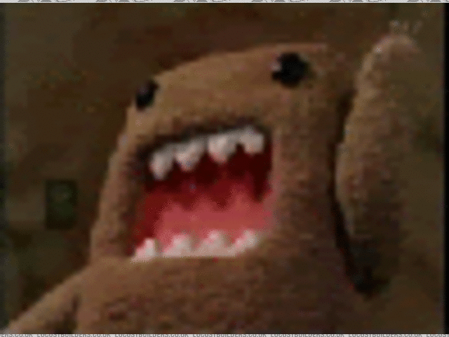 Small Animated Domo