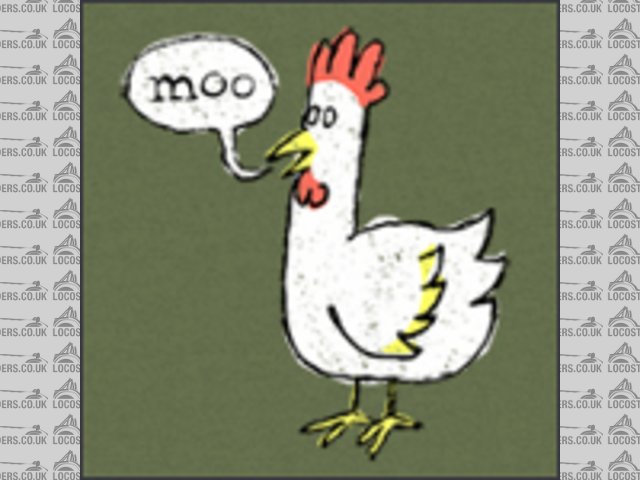 chicken moo