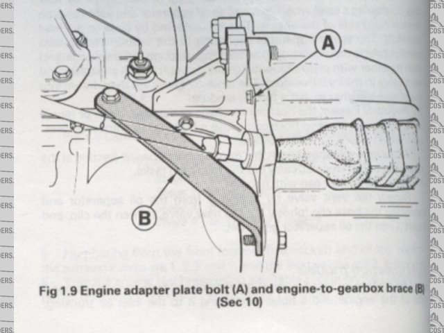 Rescued attachment brace.jpg