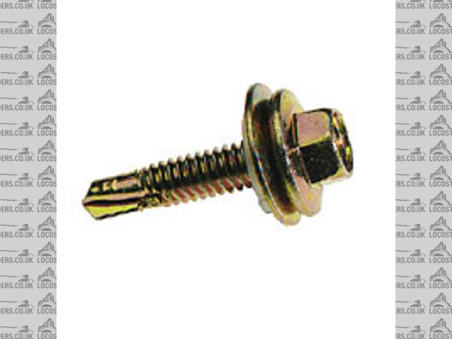 Rescued attachment screw.jpg