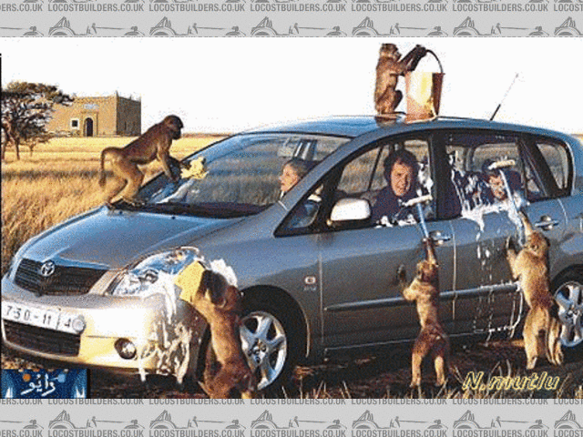 Rescued attachment car_wash_N1.gif