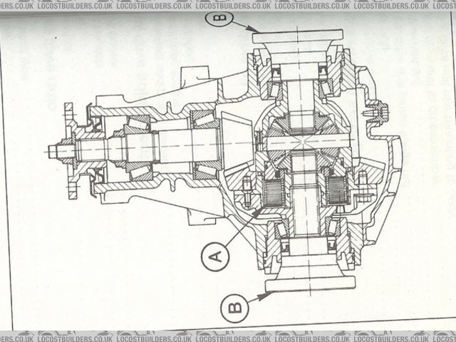 Rescued attachment with_lsd.jpg