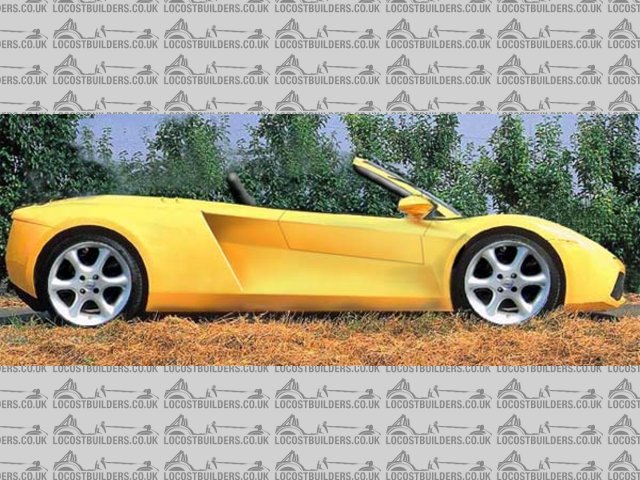 Rescued attachment Bala-Gallardo-2-lowered.jpg