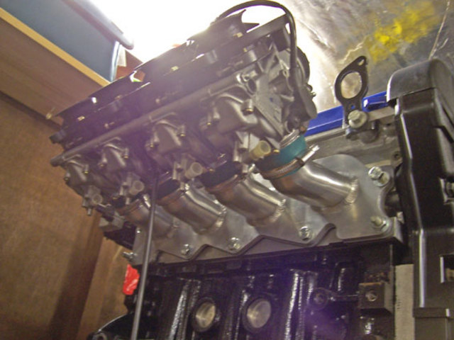 Rescued attachment Bog-carbs-011-s.jpg