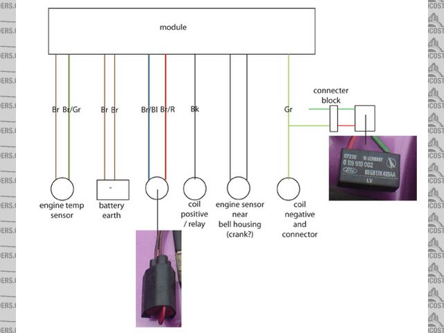 Rescued attachment engine-management-module-wiring.jpg