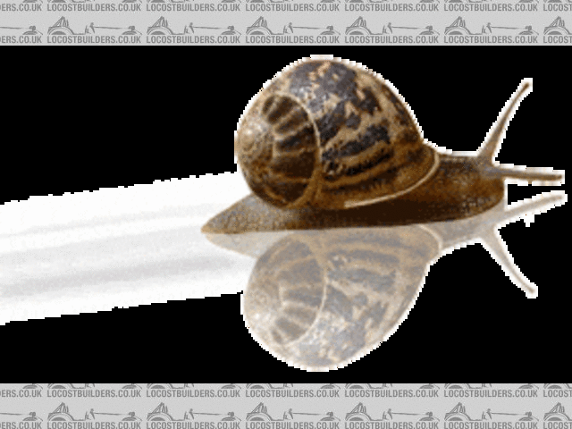 Jet Snail