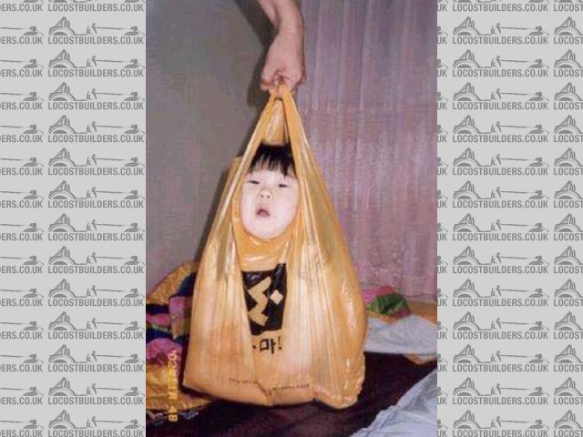 bag