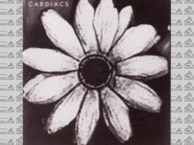 Cardiacs