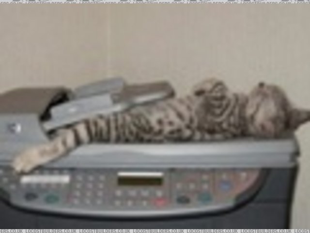 Cat Scan