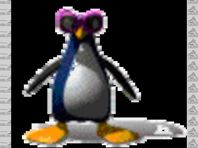 penguin