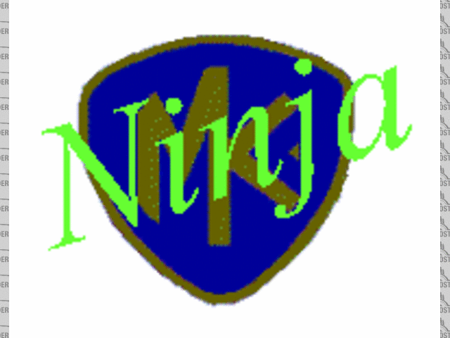 Ninja logo