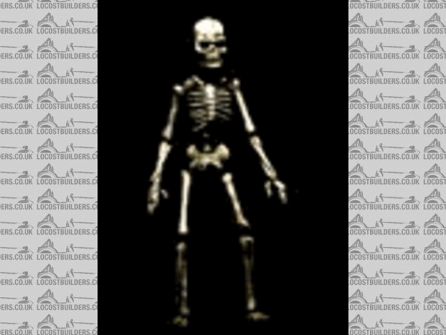 skeleton