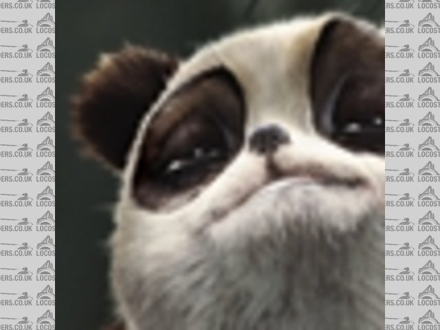 VinnyPanda Avatar