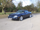 2008_0303Jaguar0002.gif