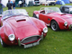 2010_0502Stoneleigh0218.JPG