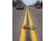 Roadkill.jpg