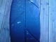 a1058757-slicks.jpg