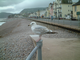 a40120-Sidmouth160503.JPG