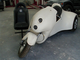 a526150-Trike.jpg