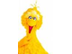 bigbird.jpg