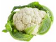 cauliflower.jpg