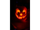 pumpkin-toothy-sm.jpg