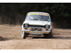 robin_hood_rally_1982.jpg