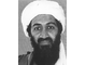 terbinladen.jpg